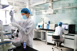 國(guó)貨記 養(yǎng)元飲品 創(chuàng)新升級(jí)只為做好 六個(gè)核桃